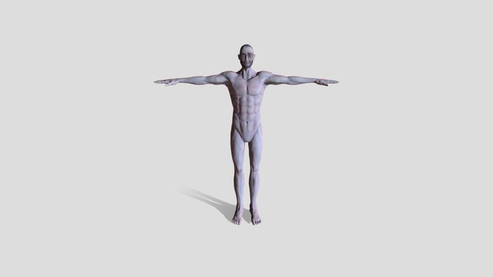 Character anatomy 3D Model