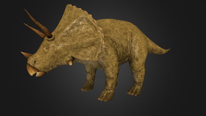 Dinosaur Triceratops Model 3D Model