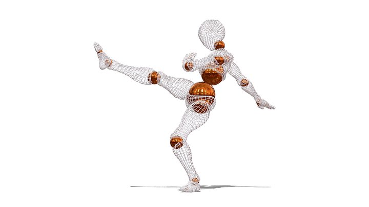 Martial Arts  [  Front Kick ] 3D Model