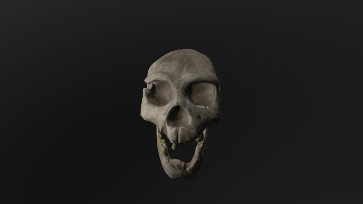 Representación de Cráneo Número 5 "Miguelón" 3D Model