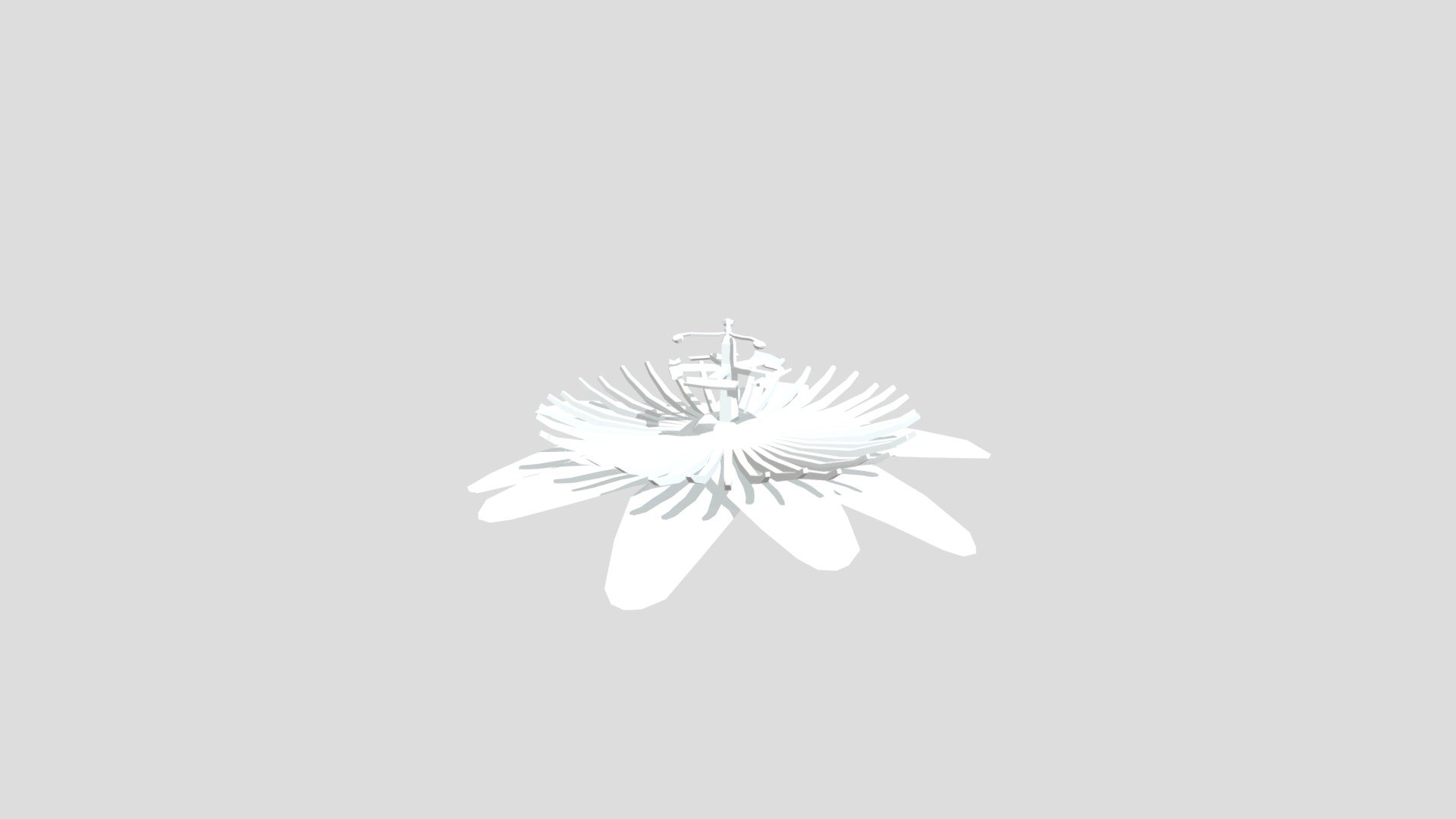 Passionfruit fower from Poly by Google