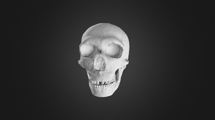 Skull Spy II 3D Model
