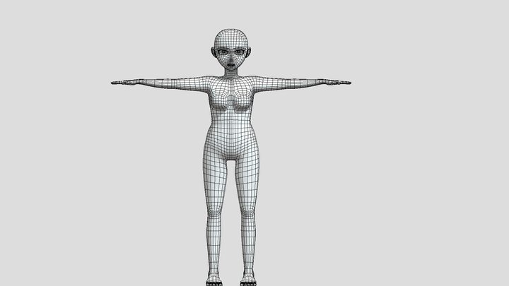 Female Anime Body Mesh 3D Model
