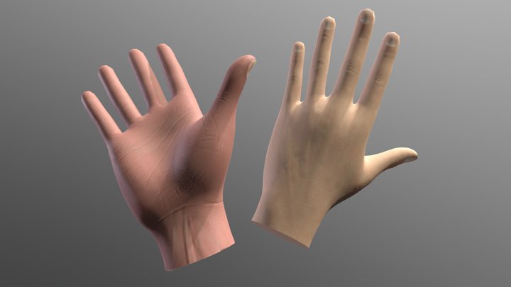 Oculust Quest Hand Tracking Realistic Texture 3D Model