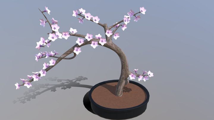 Plant - Cherry Blossom 3D Model