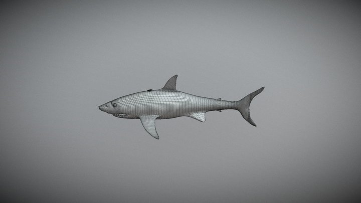Toy Shark 3D Model