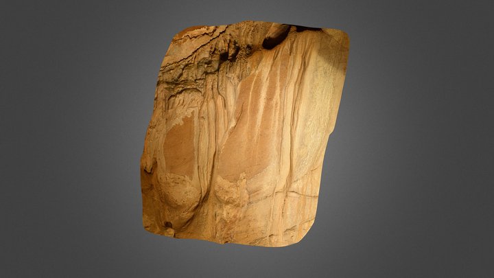 Escoural Cave Engraving #3 3D Model