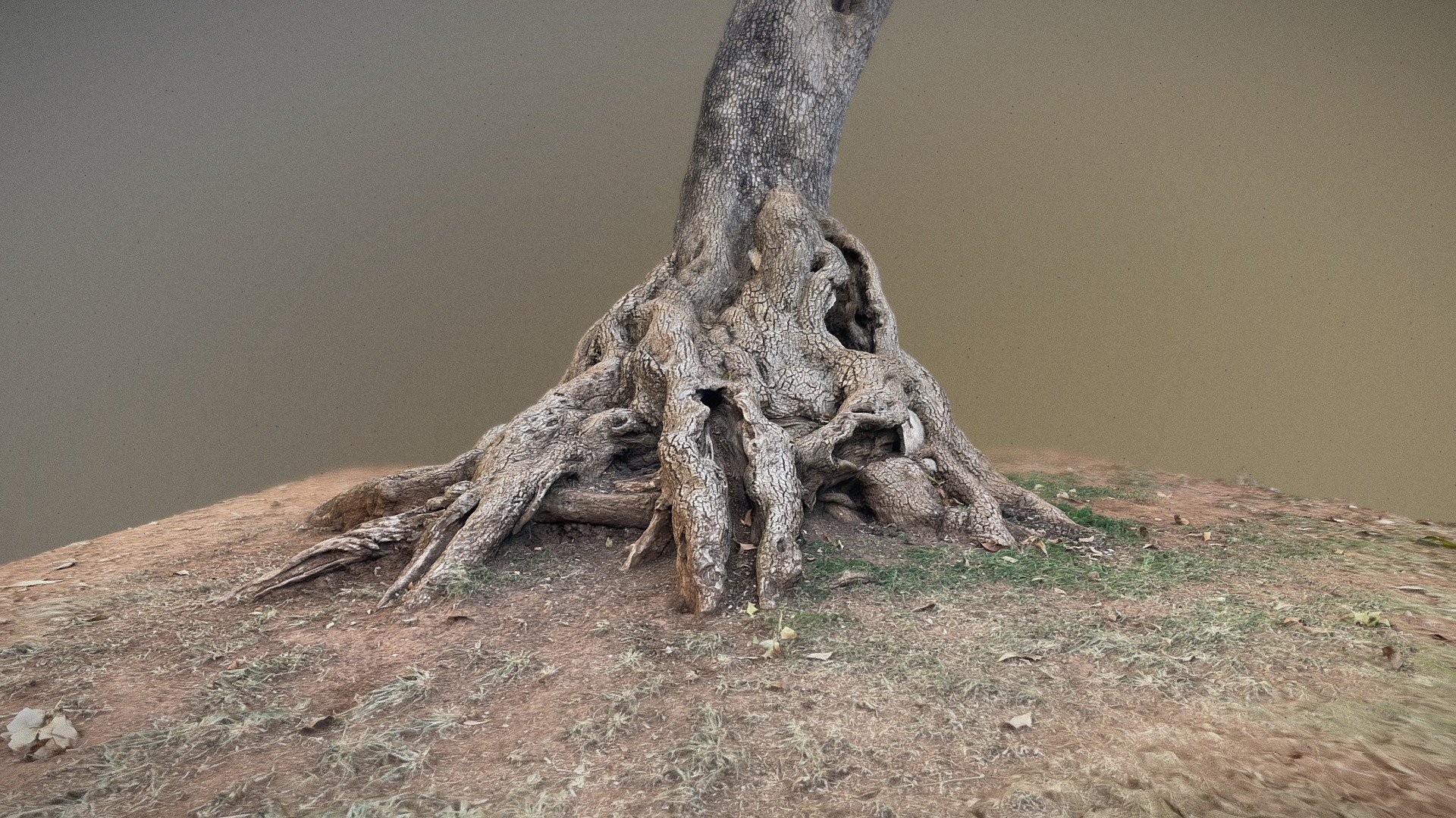 RESILIENT TRUNK - 3D model by Mario Rocha (@Mario_r_o_c_h_a) [1768590 ...