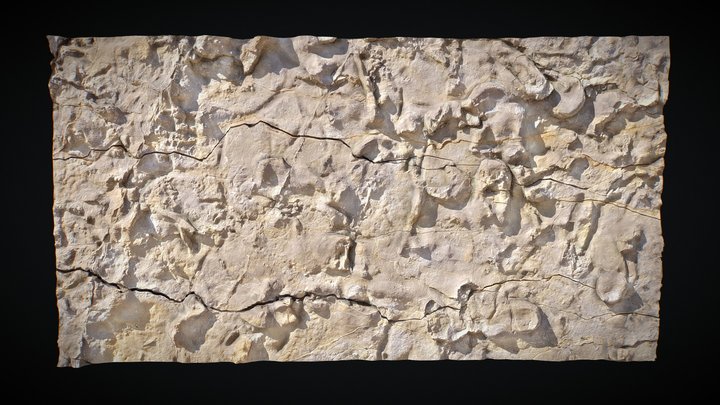 Unterer Muschelkalk: Oberer Wellenkalk (muWO) 3D Model