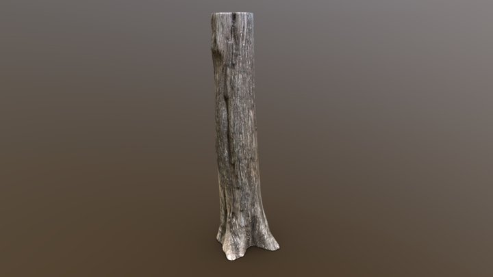 Eastern Red Cedar - Retopologized – Modèle 3D gratuit STL