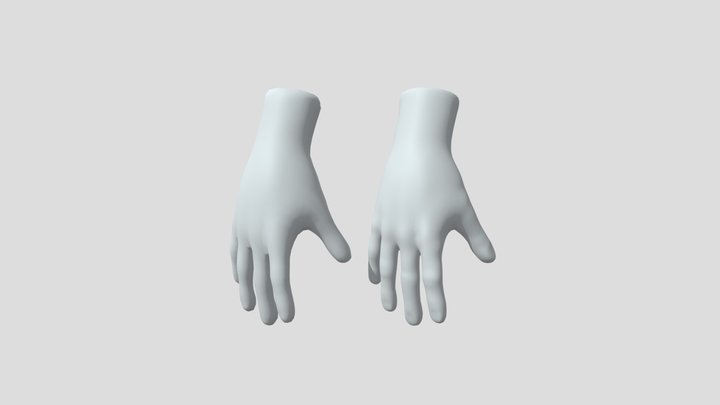 Hand Retop 3D Model