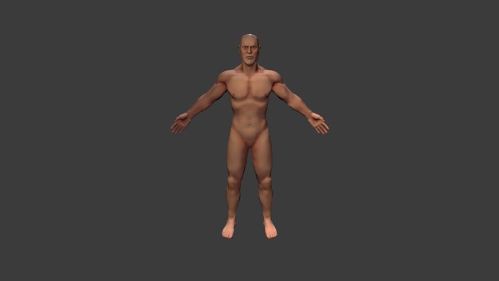 Anatomical study submission 3D Model