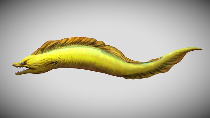 HSW Moray Eel – Kostenloses 3D-Modell STL