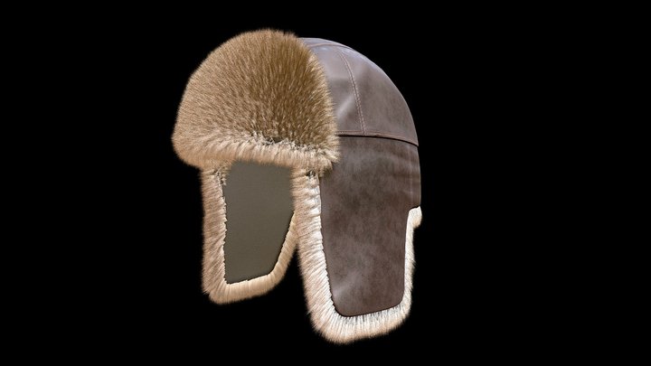 Trapper Hat Winter Cold Fur 3D Model