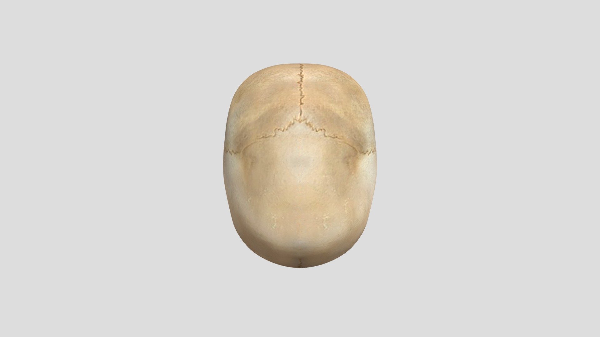 DTS4.2_CUINDA_Y1_MICHAL_E_07_SKULL