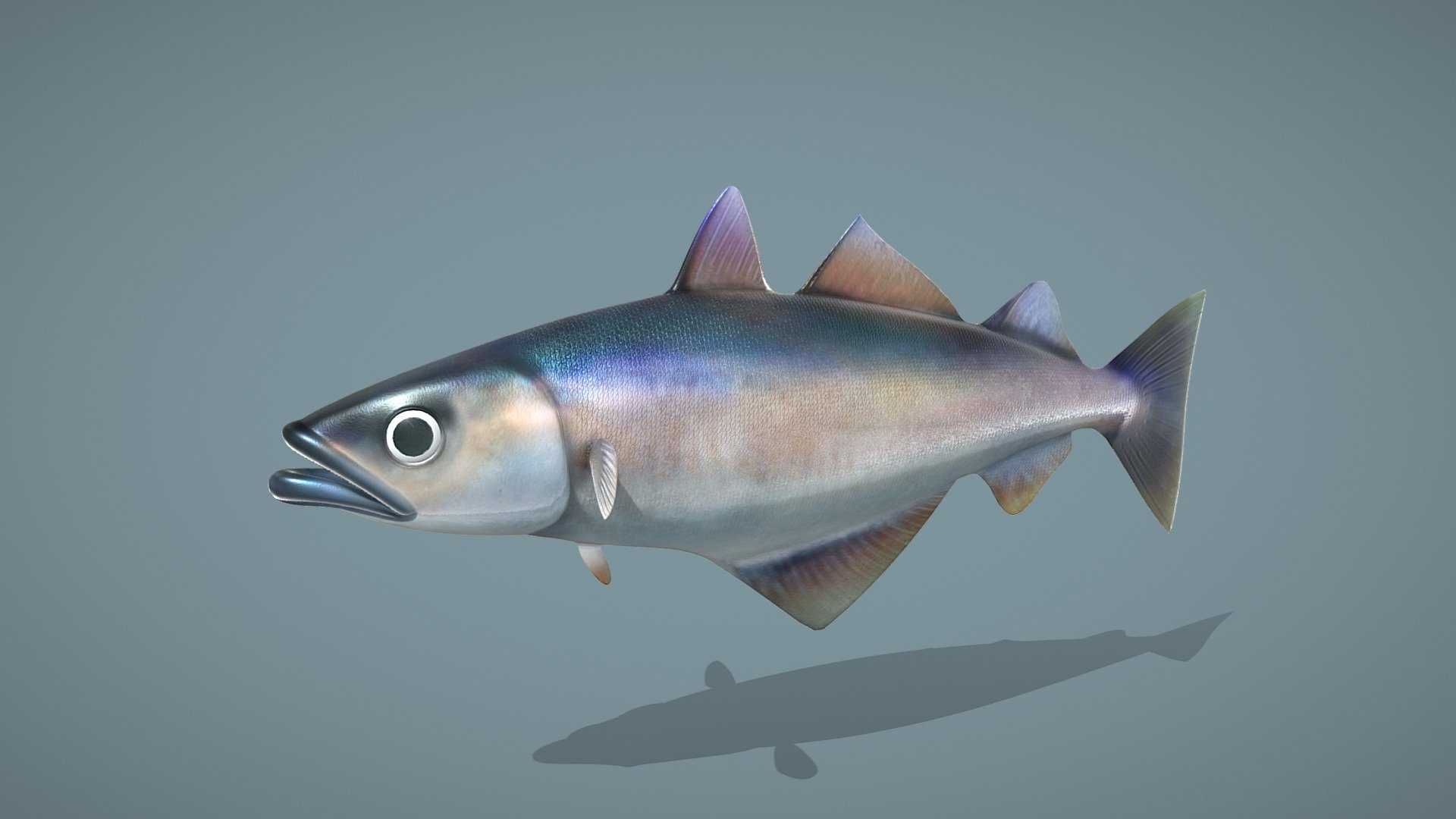 Fish - Buy Royalty Free 3D model by ostrich (@gohean33) [1779d0a ...