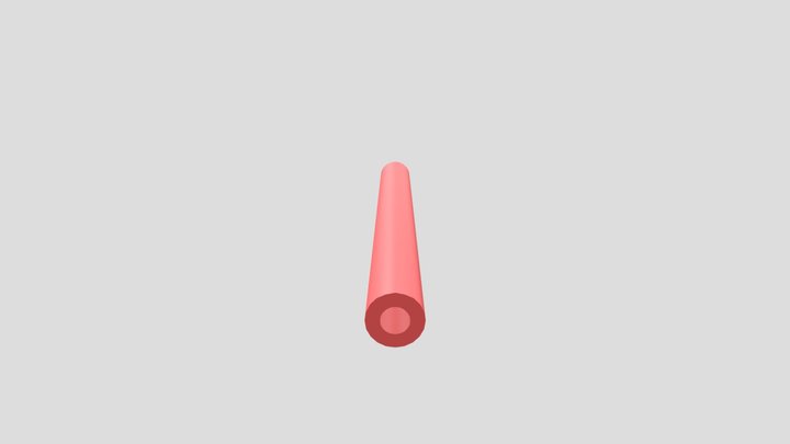 Pool Noodle 3D Model