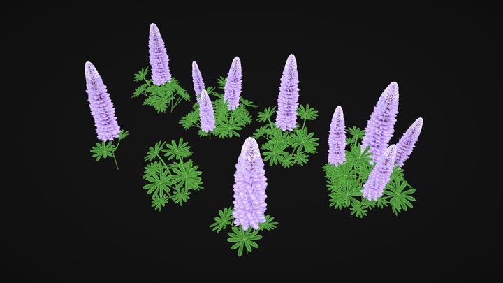 Stylized Lupines