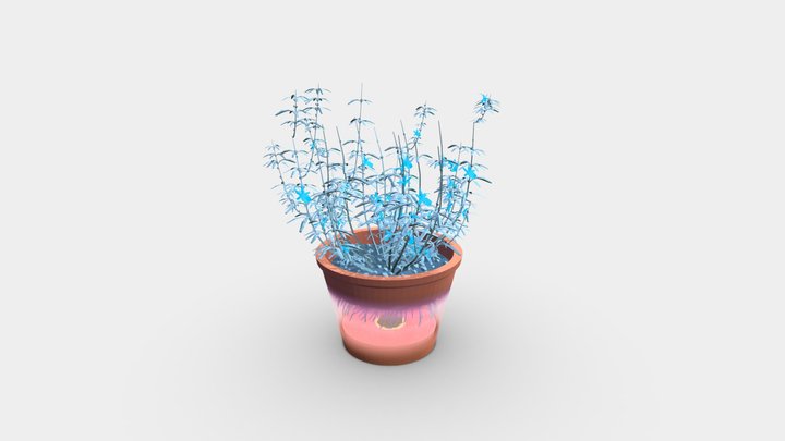 Rosemary and Island 3D Model