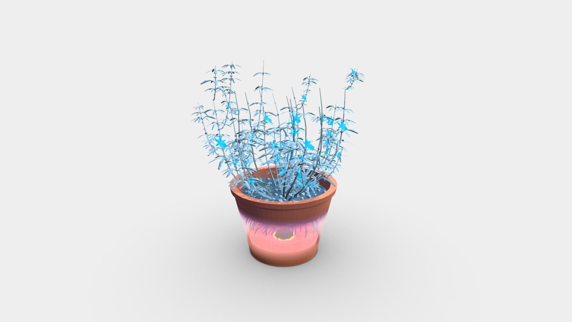 Rosemary and Island