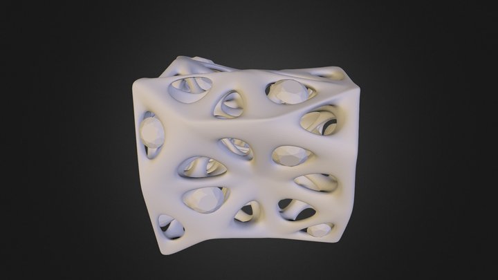 bone structure 3D Model