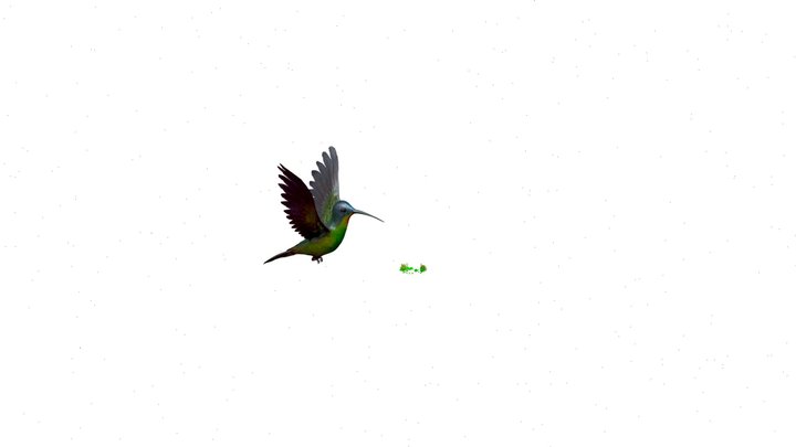 ANIMACION ESAP05 3D Model