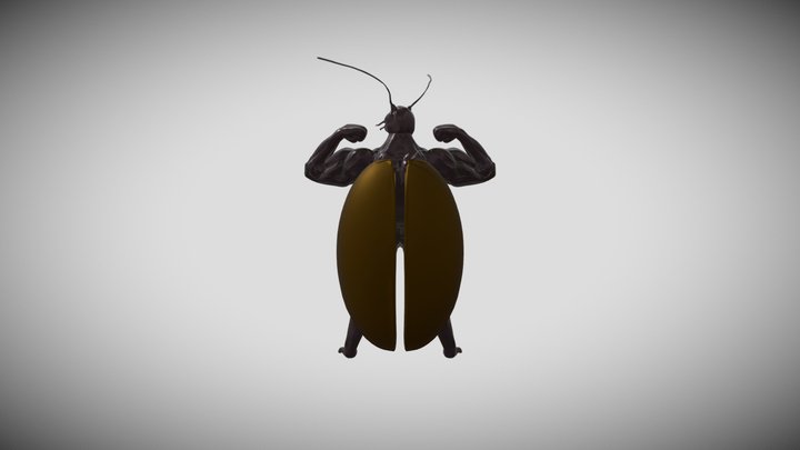 Muscle cockroach 3D Model