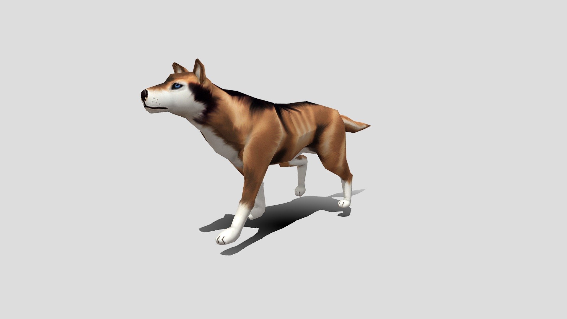 Dog 3d