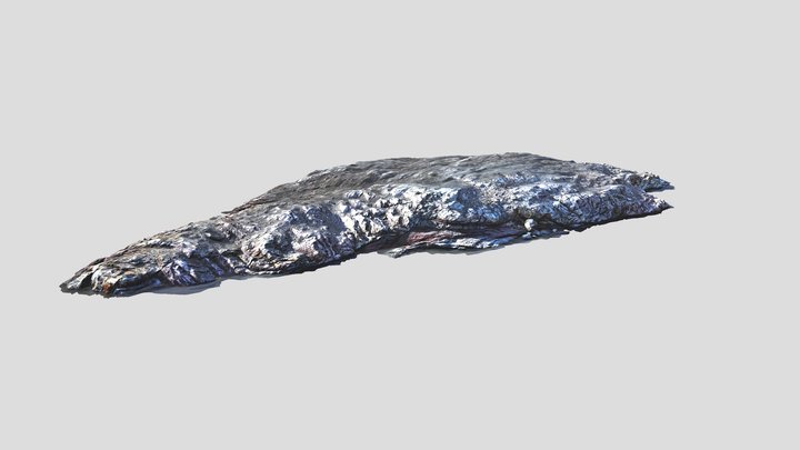 Svalbox-DOM_2024-0021 3D Model