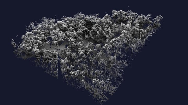 Blackwood gully 3D Model