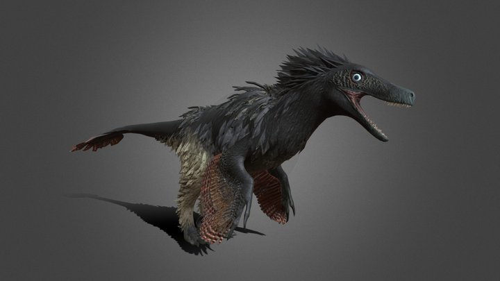 acheroraptor 3D Model