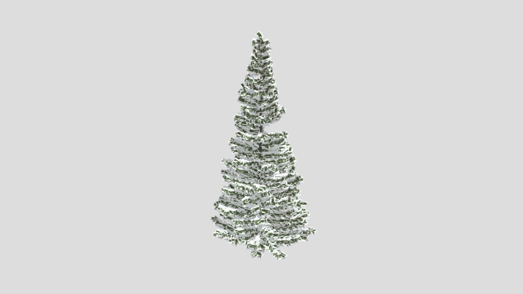 Evergreen Fir Tree Large