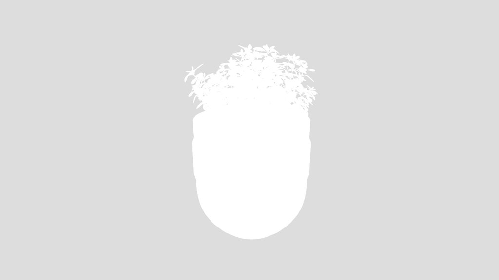 Potted Green Plant