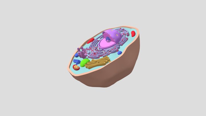Componentes de la célula 3D Model