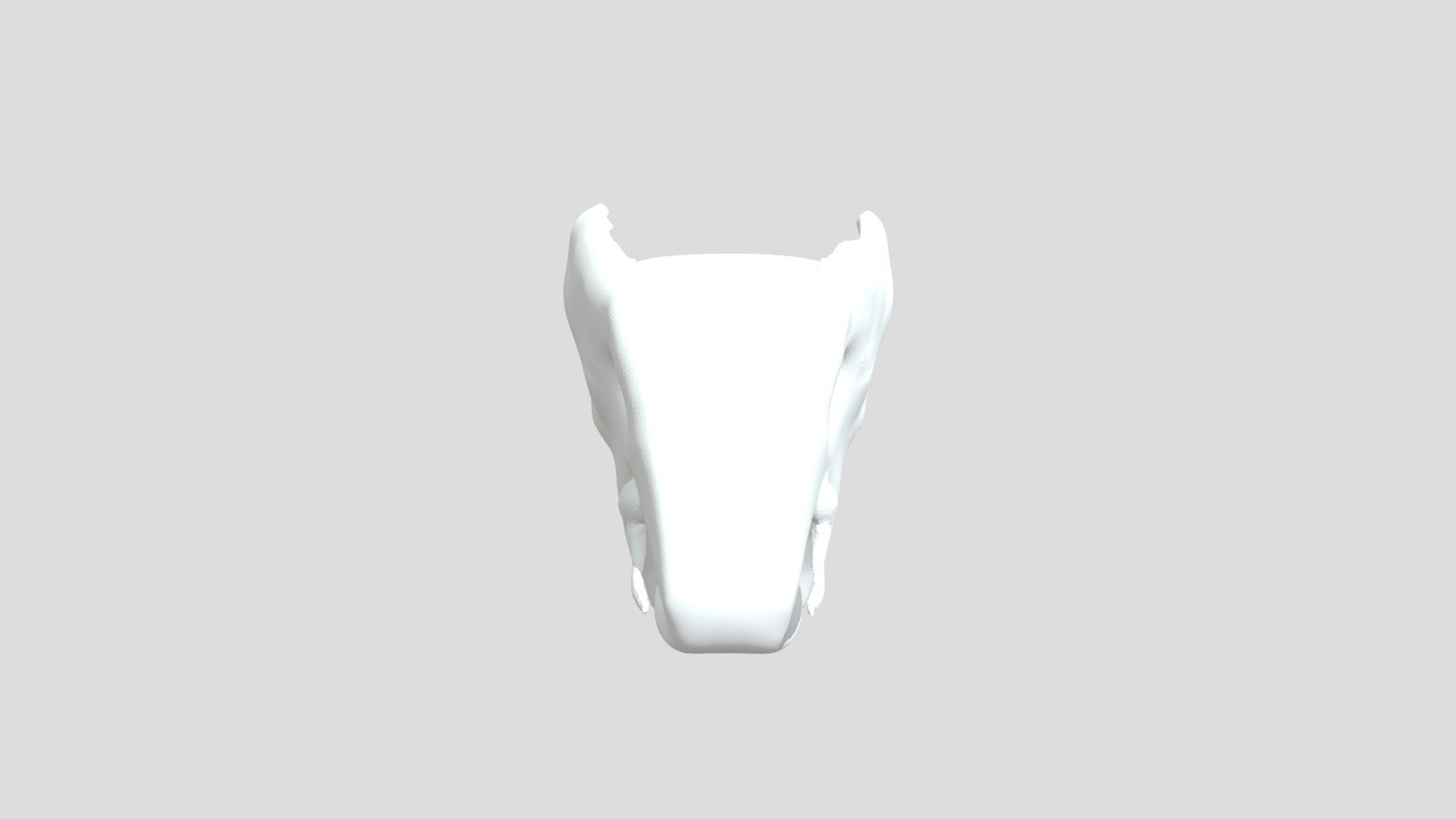 Chavez 3 08 Elephant