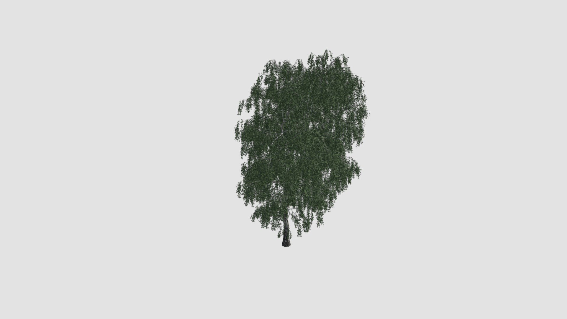tree - Buy Royalty Free 3D model by Evermotion [1790065] - Sketchfab Store
