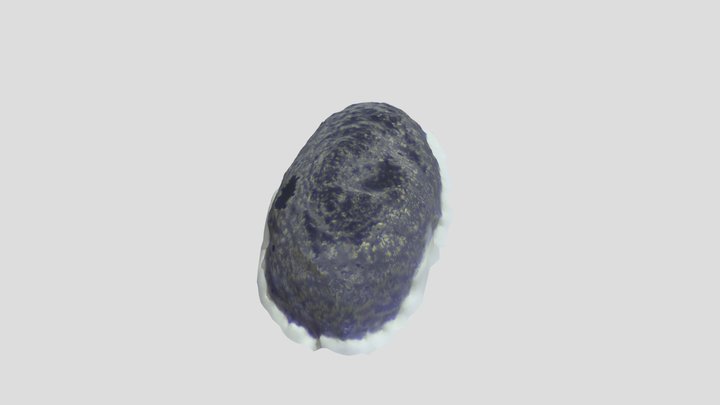 long mm2 3D Model