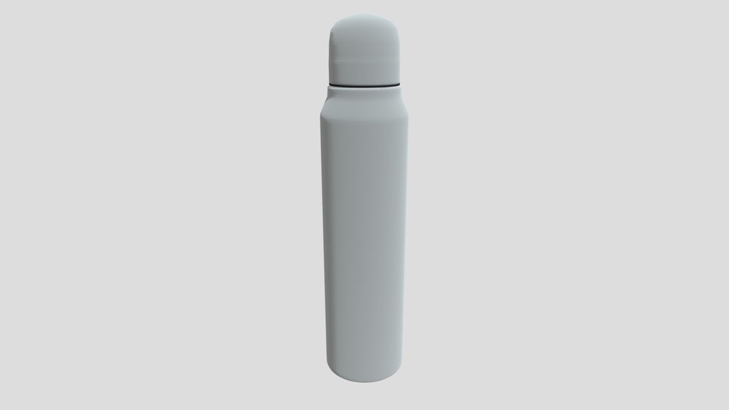 Stainless Steel Water Bottle