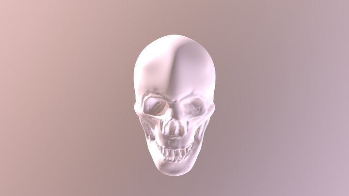 McDuff Skull Full 3D Model