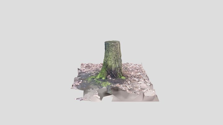 Scan 2023-03-25T15:44:05.315Z 3D Model