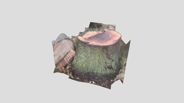 Test Tree Stump 3D Model