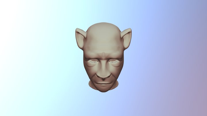 Face 3D Model