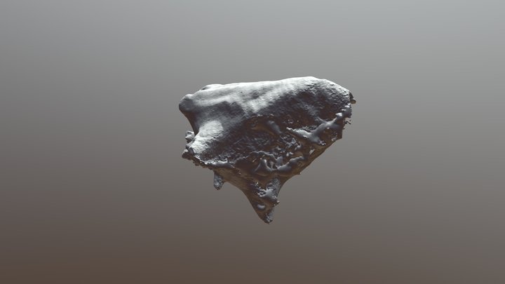 Caracol 3D Model