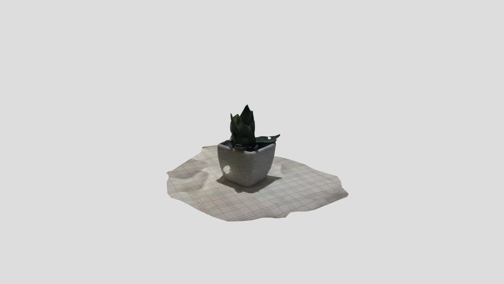 planta