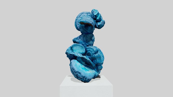 Fungal Artifacts, Markus Hoffmann 3D Model