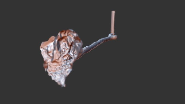 Tun 3D Model