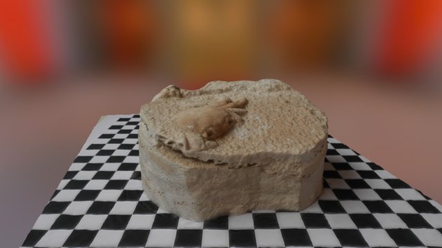 Model of a fossilized crab 3D Model