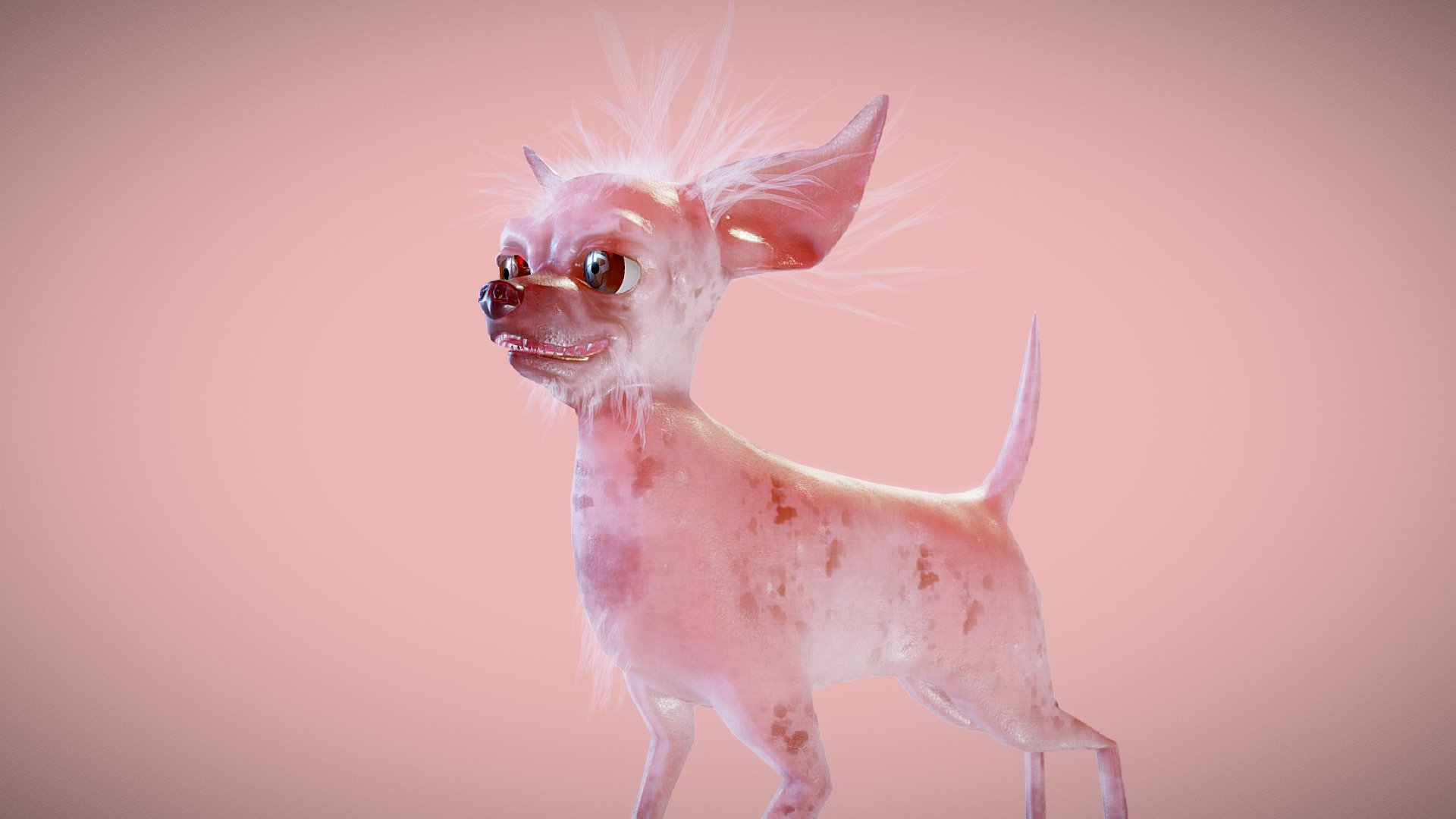 Ugliest Dog In The World 3d Model By Nitacawo Nitacawo 17a711d