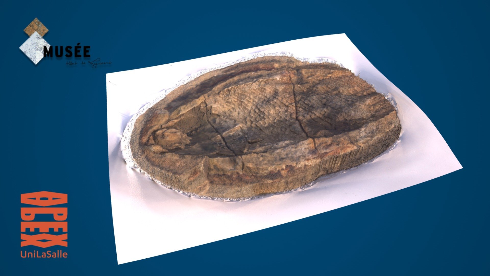 Fossil fish of Madagascar (Trias) — Sketchfab embed 3D viewer