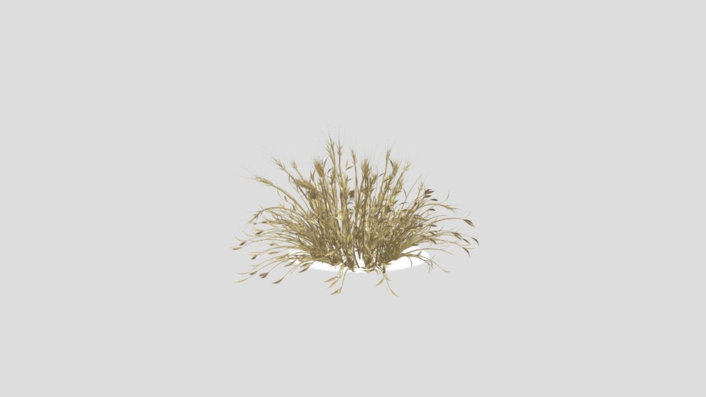 Sj Golden Bush Elegance